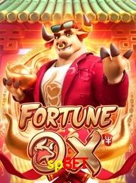 SPBET.COM